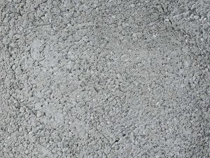 Gray Fossil